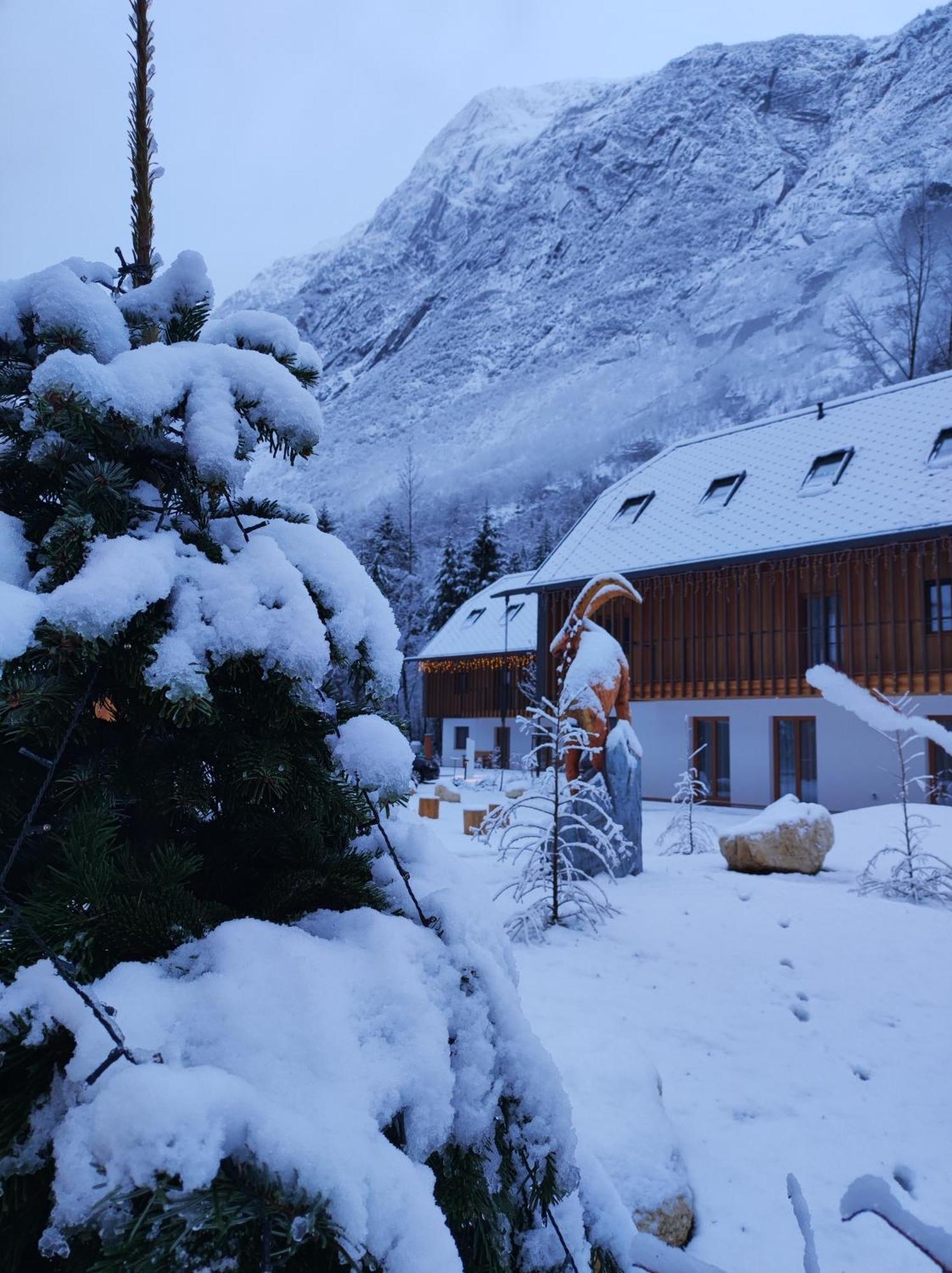 Residence Soča Екстериор снимка