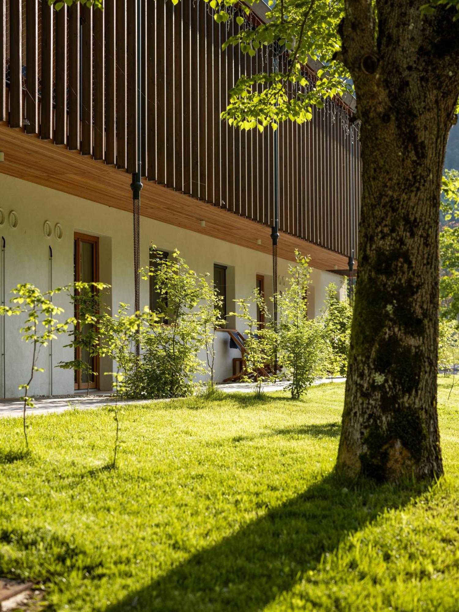 Residence Soča Екстериор снимка